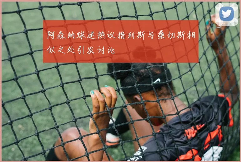 阿森纳球迷热议措利斯与桑切斯相似之处引发讨论