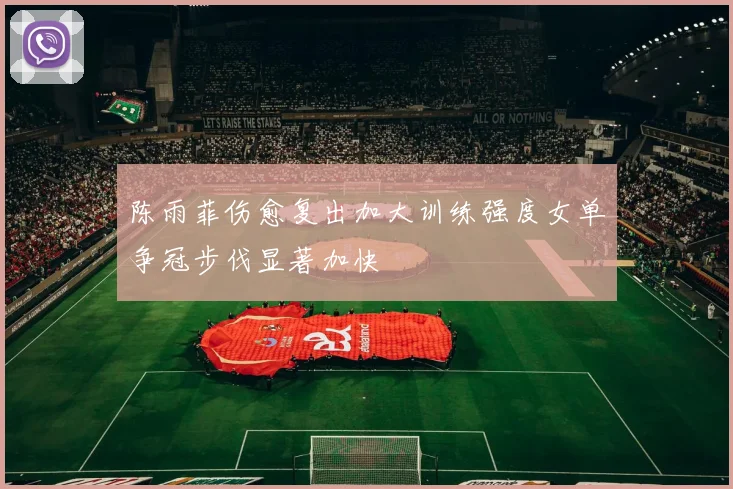 陈雨菲伤愈复出加大训练强度女单争冠步伐显著加快